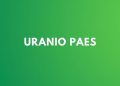 Enneagramforum - Uranio Paes